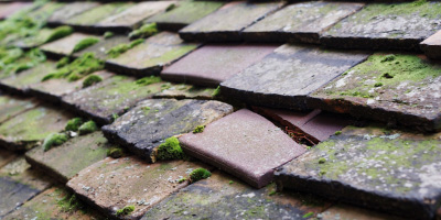 Chellington roof repair costs
